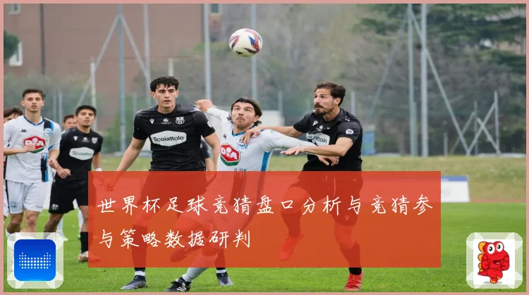 世界杯足球竞猜盘口分析与竞猜参与策略数据研判