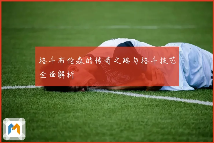 格斗布伦森的传奇之路与格斗技艺全面解析